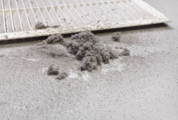 Best Air Duct Cleaning Near Me  in Auburn, WA