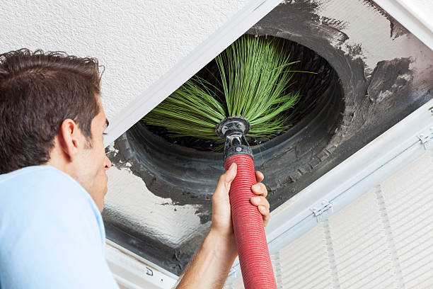 Best Air Vent Cleaning Services  in Auburn, WA