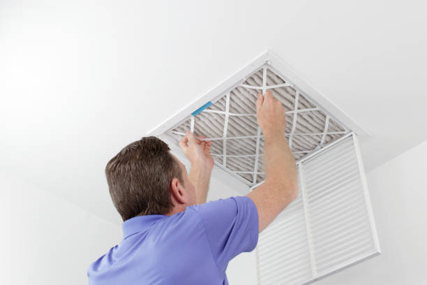 Best Ductwork Cleaning Services  in Auburn, WA